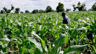 Farmland for Sale at Oji River Enugu
