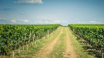 Farmland for Sale at Epe, close to ST. Augustine University ,Epe, Lagos, Nigeria